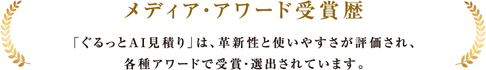メディア・アワード受賞歴